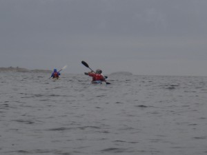 DSC03396